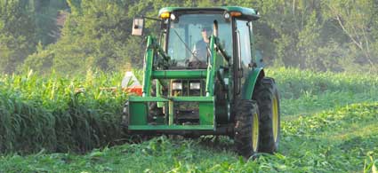Harvesting winter feed